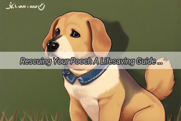 Rescuing Your Pooch A Lifesaving Guide to Treating a Trapped Dog